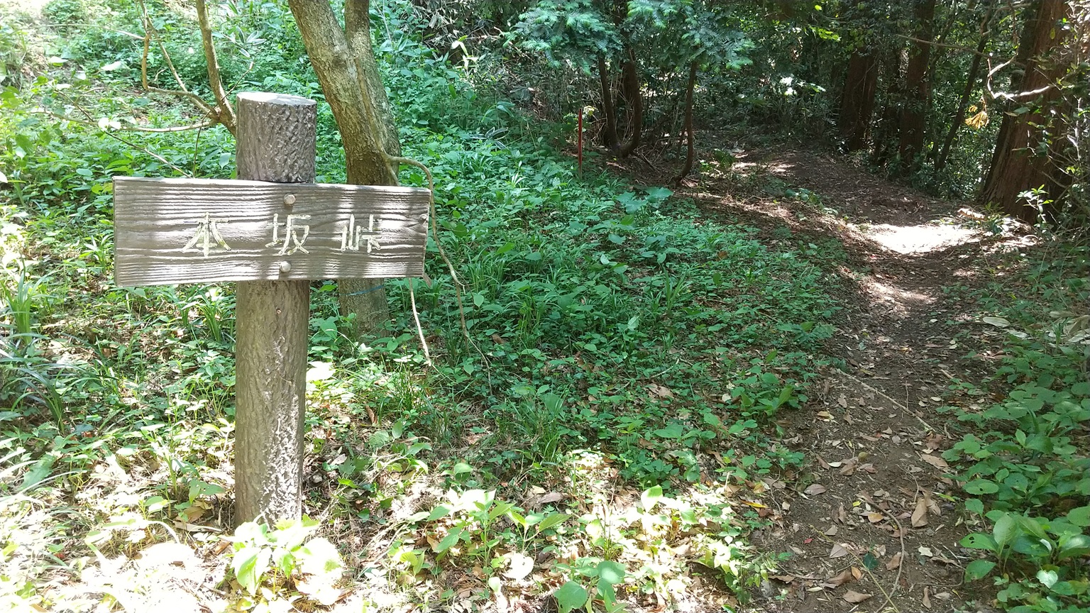 本坂峠頂上
