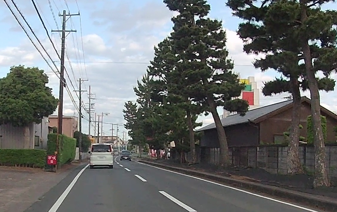 姫街道の松並木