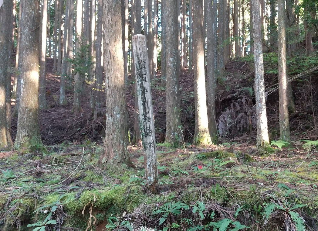 松坂峠
