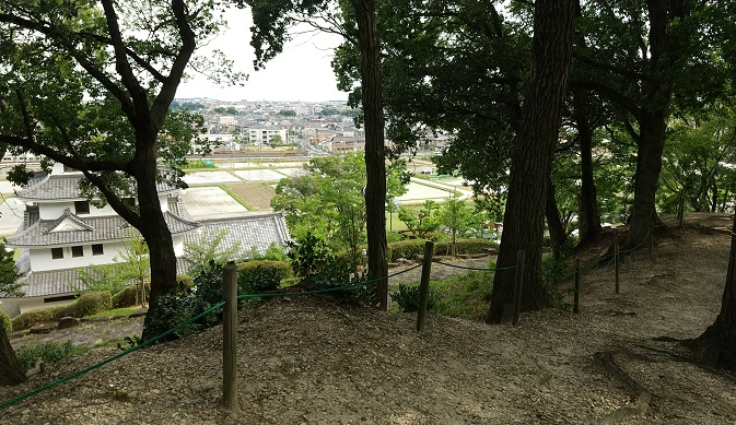 新居城跡