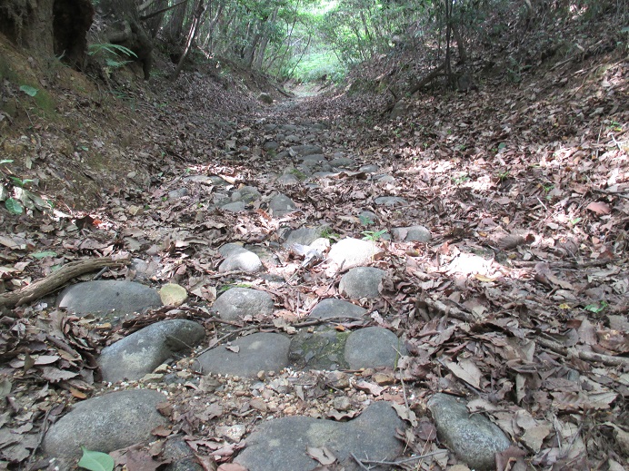 旧水野街道