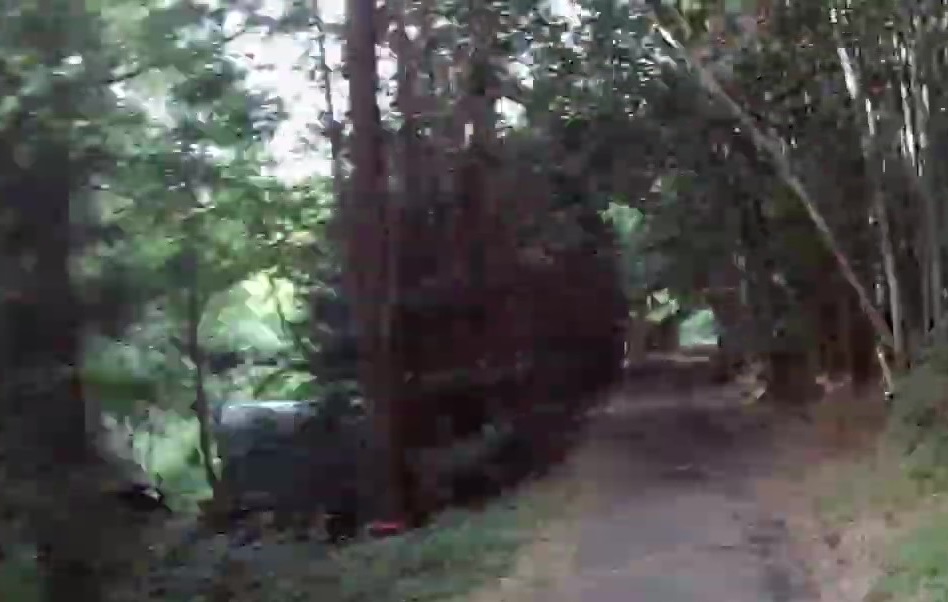 竹藪の中の常滑街道